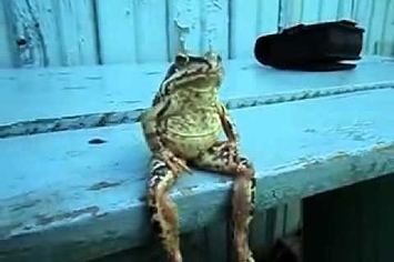 Ae0w8e0