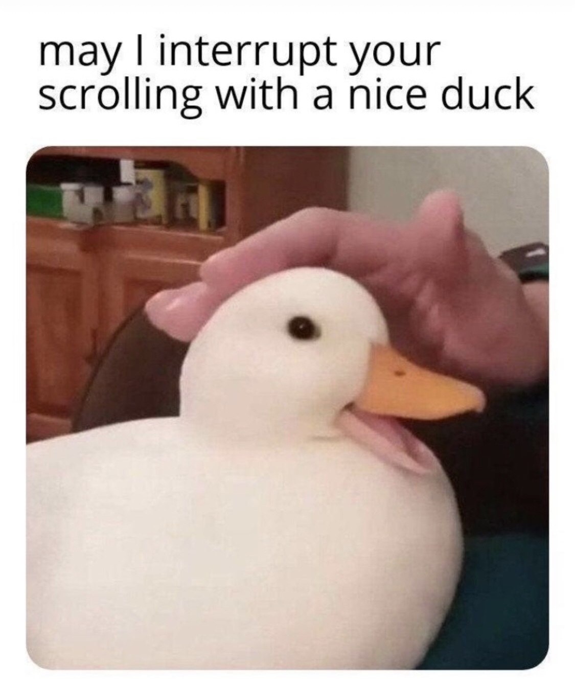 FjTgVcE