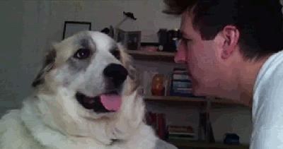 WtaVdLI